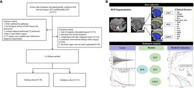 Value of intralesional and perilesional radiomics for predicting the bioactivity of hepatic alveolar echinococcosis